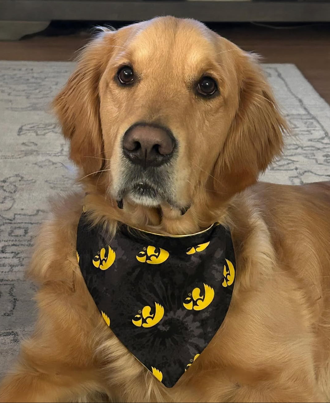 Hawkeyes