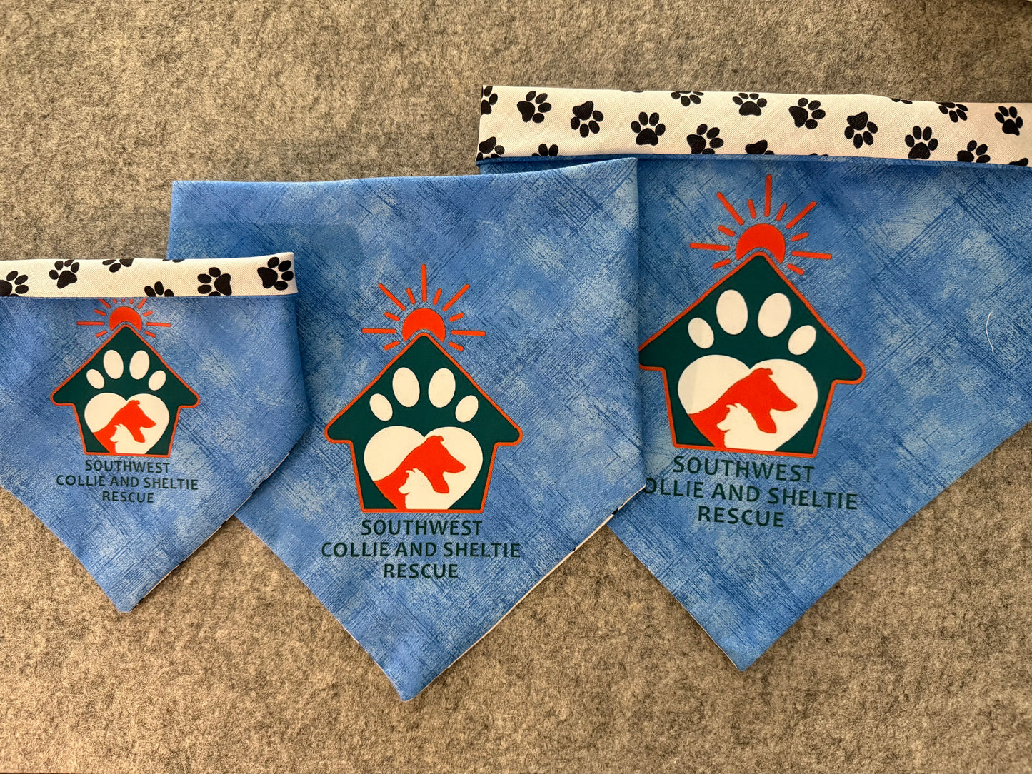SWCSR BANDANA