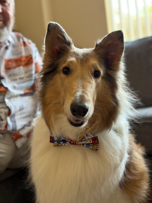Patriotic patchwork bow tie