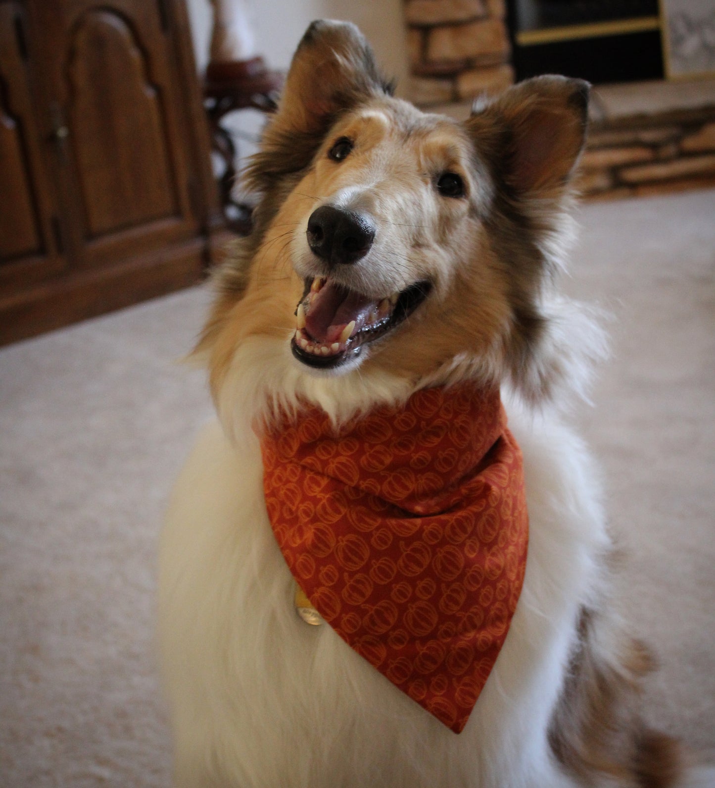 Plaid Pumpkins