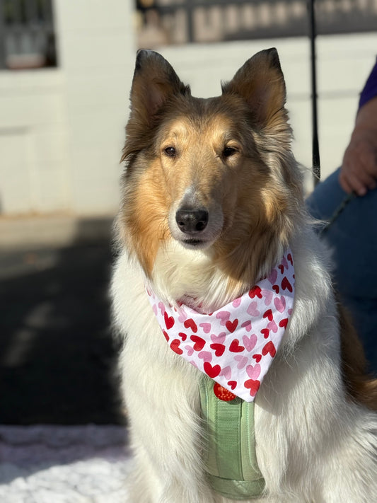 Lots of Love (L.O.L.)