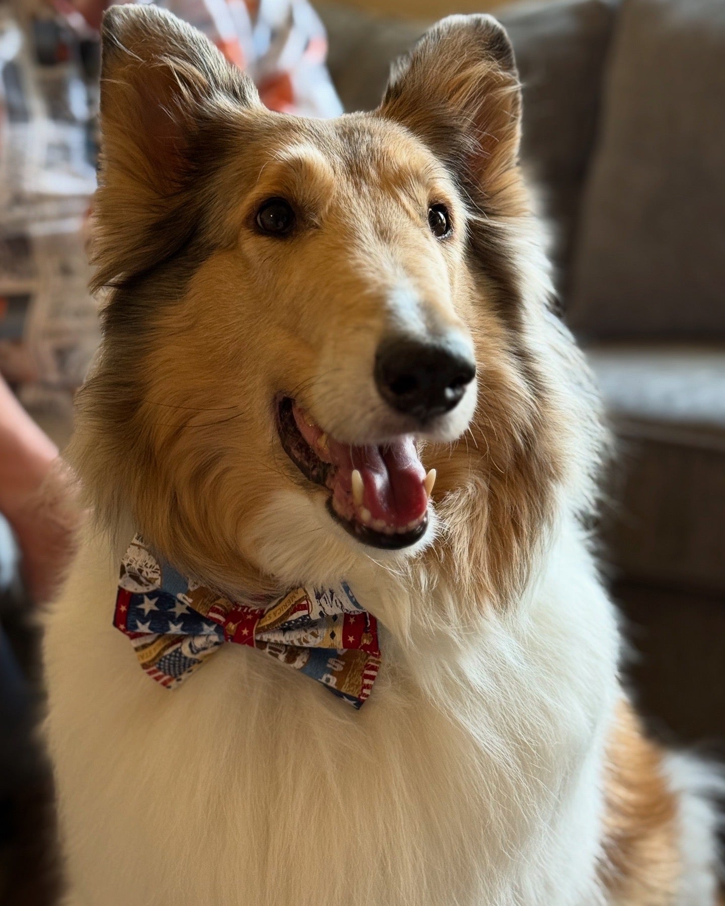 Patriotic patchwork bow tie