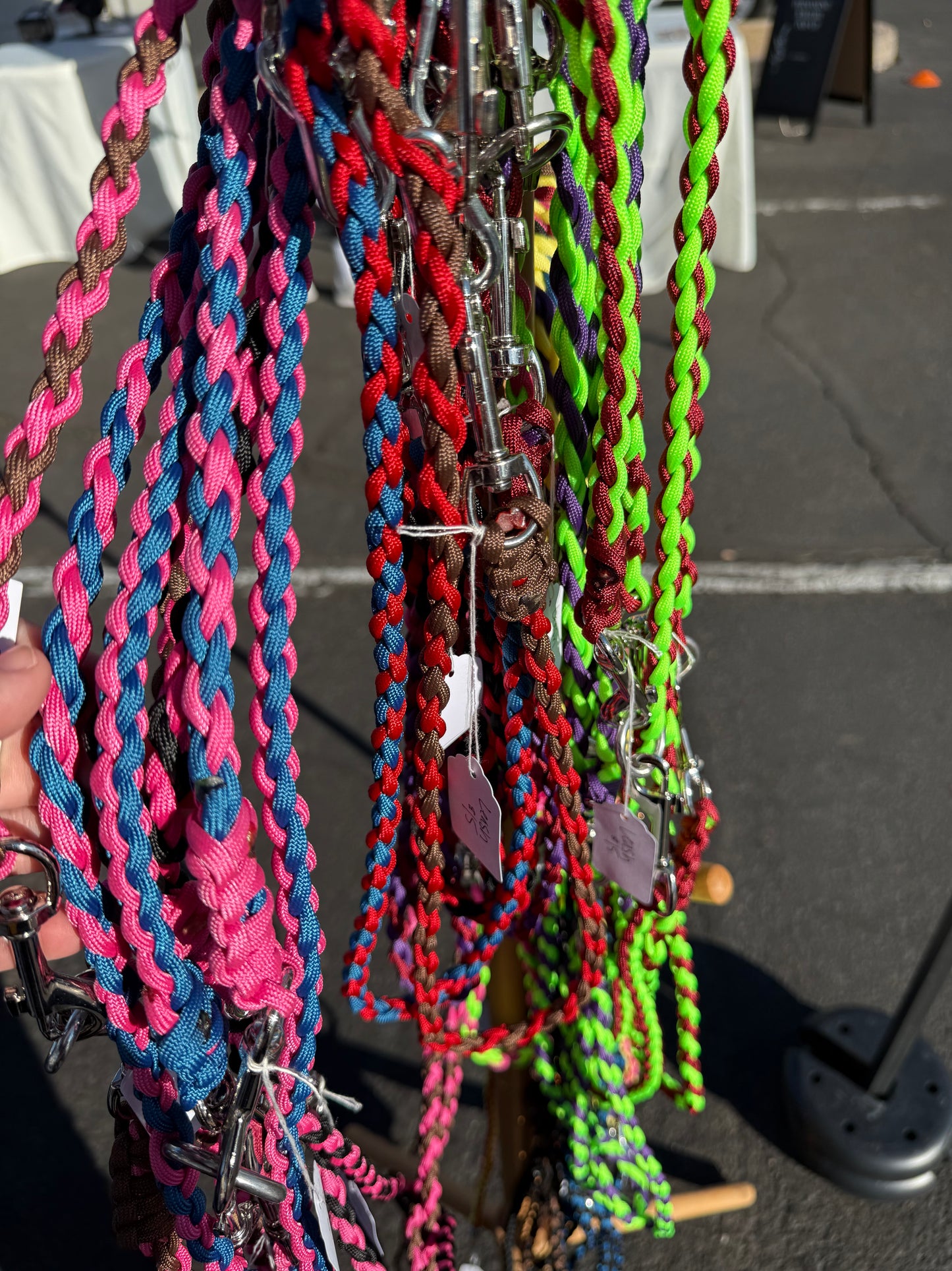 Dog Leash