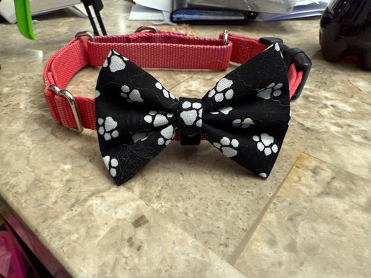 Bowtie - Over the collar